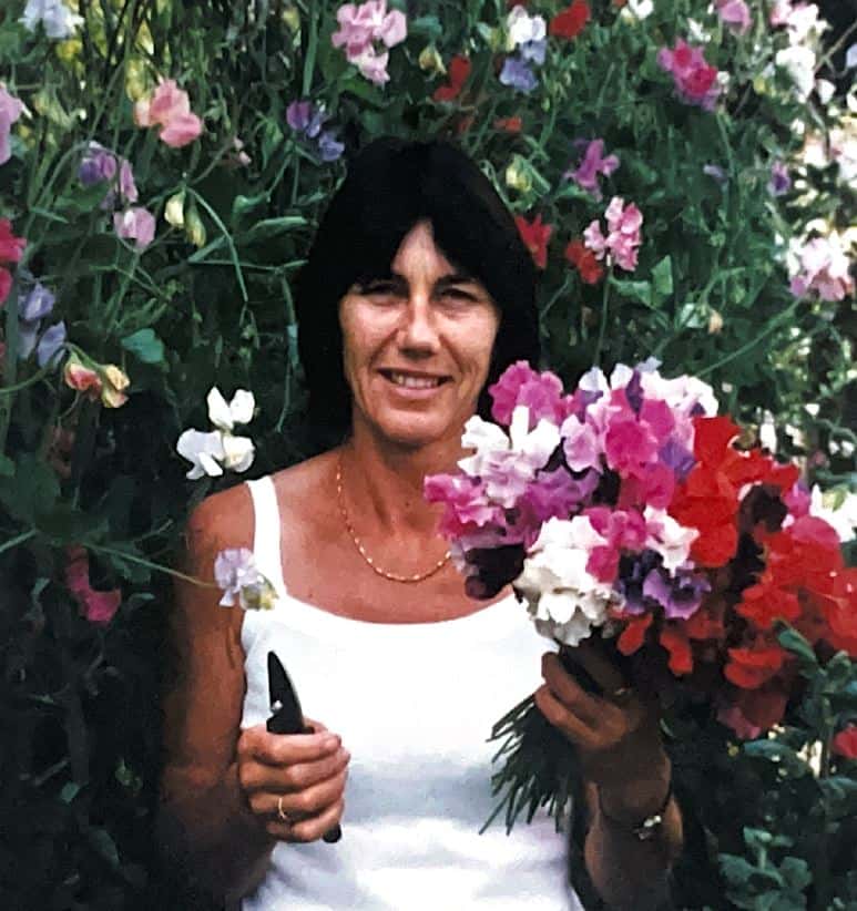 Lesley Irene Heveldt