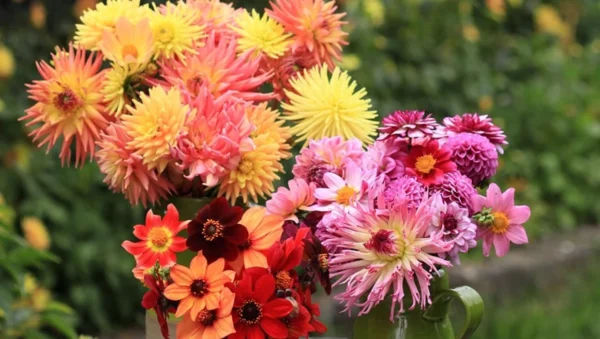 Jennifer Margaret Moore